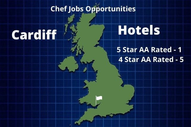 Cardiff Hotels Infographic